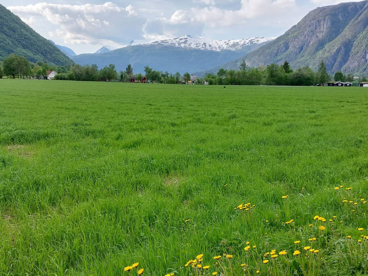 Day 1 – Oslo Airport to Trollstigen&nbsp;Resort